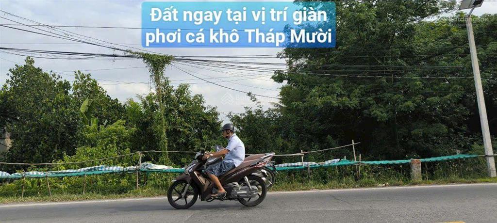 Đất mặt tiền quốc lộ n2, cách thpt mỹ quý 8 nền
