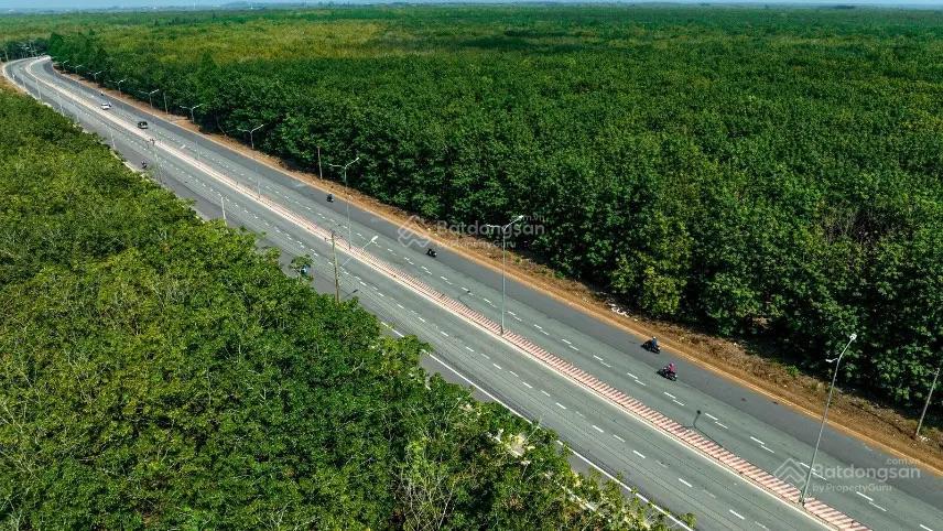 Bán ngộp đất mặt tiền dầu tiếng bình dương