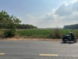 Bán ngộp đất mặt tiền dầu tiếng bình dương