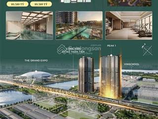 Bán căn hộ lumière essence peak, 9,484 tỷ, 63,9m2, 2pn, 2wc, giá siêu hời!