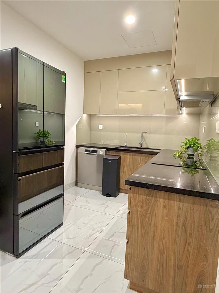 Cho thuê ngắn hạn  dài hạn căn hộ cao cấp diamond celadon city tân phú