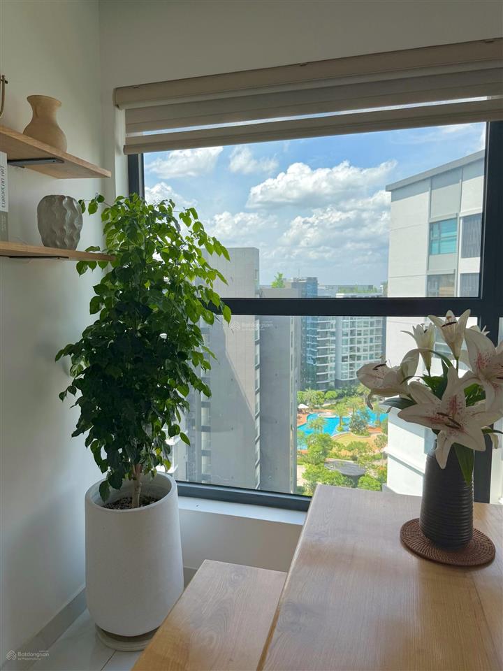Cho thuê ngắn hạn  dài hạn căn hộ cao cấp diamond celadon city tân phú