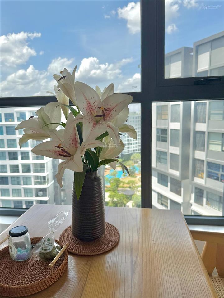 Cho thuê ngắn hạn  dài hạn căn hộ cao cấp diamond celadon city tân phú