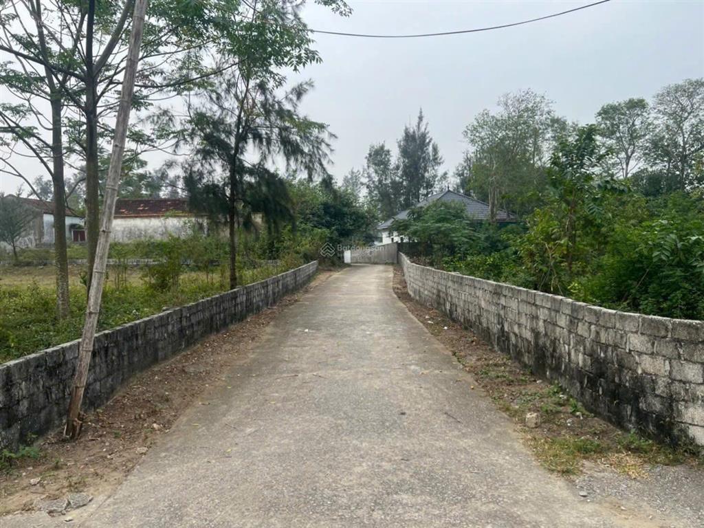 Chính chủ bán đất biển quảng thái, thanh hóa 3 mặt tiền đẹp, giá ngã cây vì cần tiền bán vội