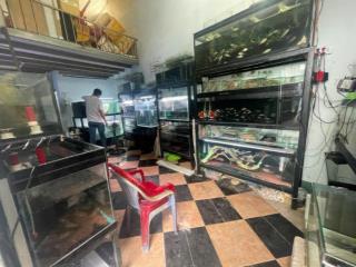 Bán dãy trọ 4 phòng  thu nhập 10tr/1 tháng  gần lê văn chí, hoàng diệu 2