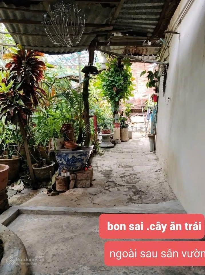 Chính chủ bán nhà riêng thôn phước lợi, xã phước thuận tỉnh ninh thuận giá chỉ 550 triệu