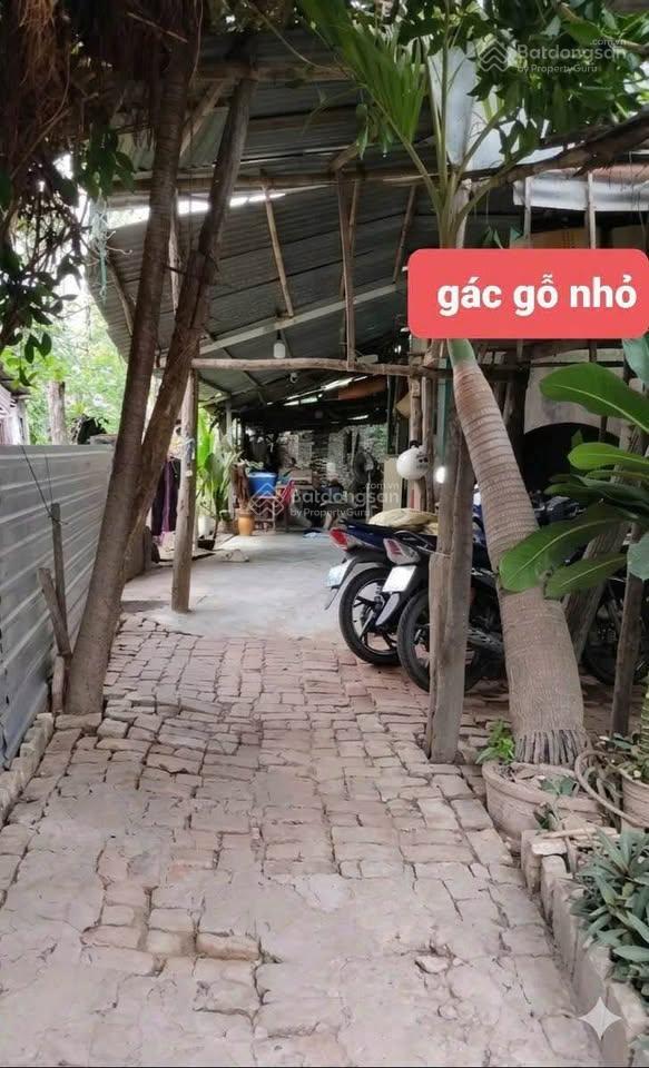 Chính chủ bán nhà riêng thôn phước lợi, xã phước thuận tỉnh ninh thuận giá chỉ 550 triệu
