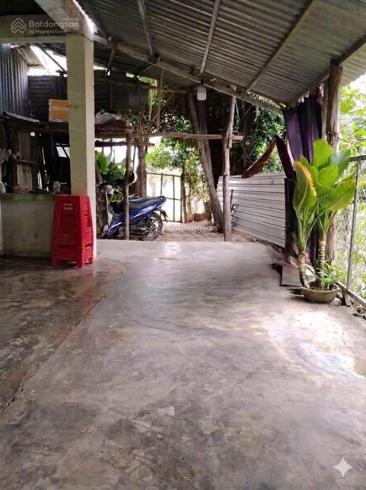 Chính chủ bán nhà riêng thôn phước lợi, xã phước thuận tỉnh ninh thuận giá chỉ 550 triệu