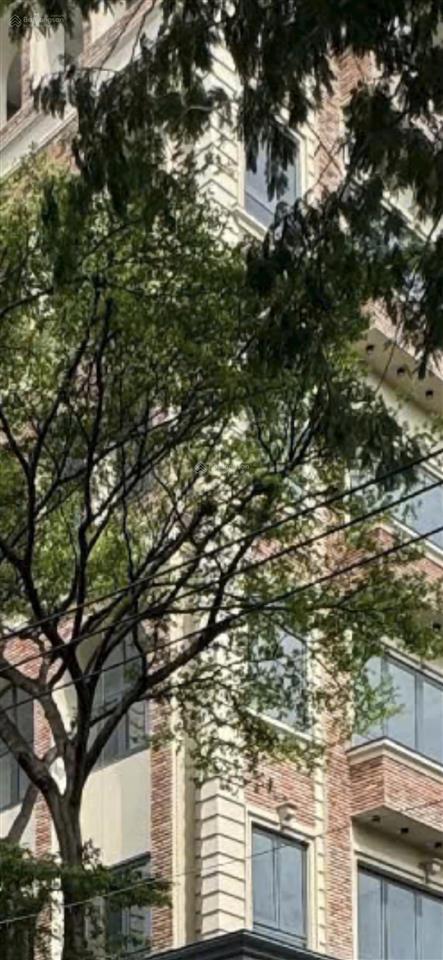 Căn góc 2mt, 297m2 đất đường nguyễn văn linh, p. tân thuận tây, q7