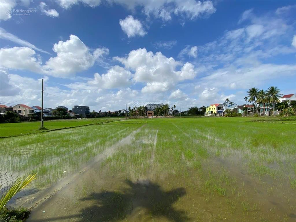 Bán đất 676m view lúa thanh hà cách đường chính hùng vương 70m,cách phố cổ 1,5km