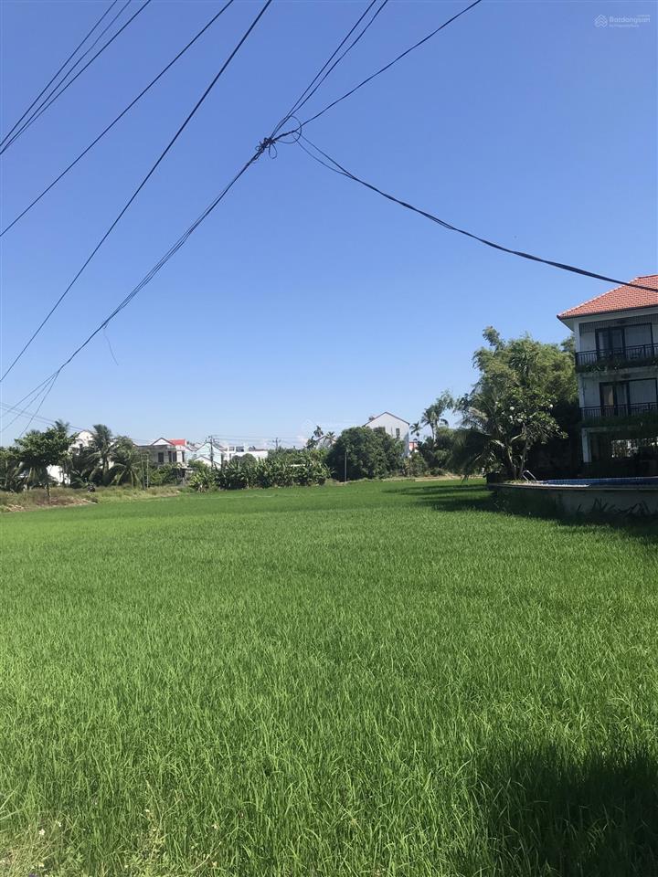 Bán đất 676m view lúa thanh hà cách đường chính hùng vương 70m,cách phố cổ 1,5km