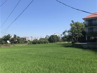 Bán đất 676m view lúa thanh hà cách đường chính hùng vương 70m,cách phố cổ 1,5km