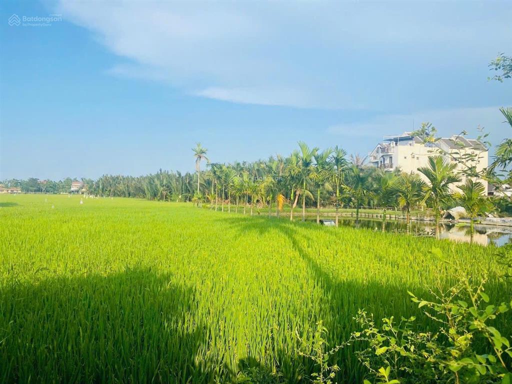 Bán đất 676m view lúa thanh hà cách đường chính hùng vương 70m,cách phố cổ 1,5km