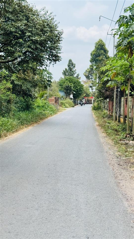 Bán đất tại long thành, 889 triệu, 116 m2, view đẹp giá ưu đãi