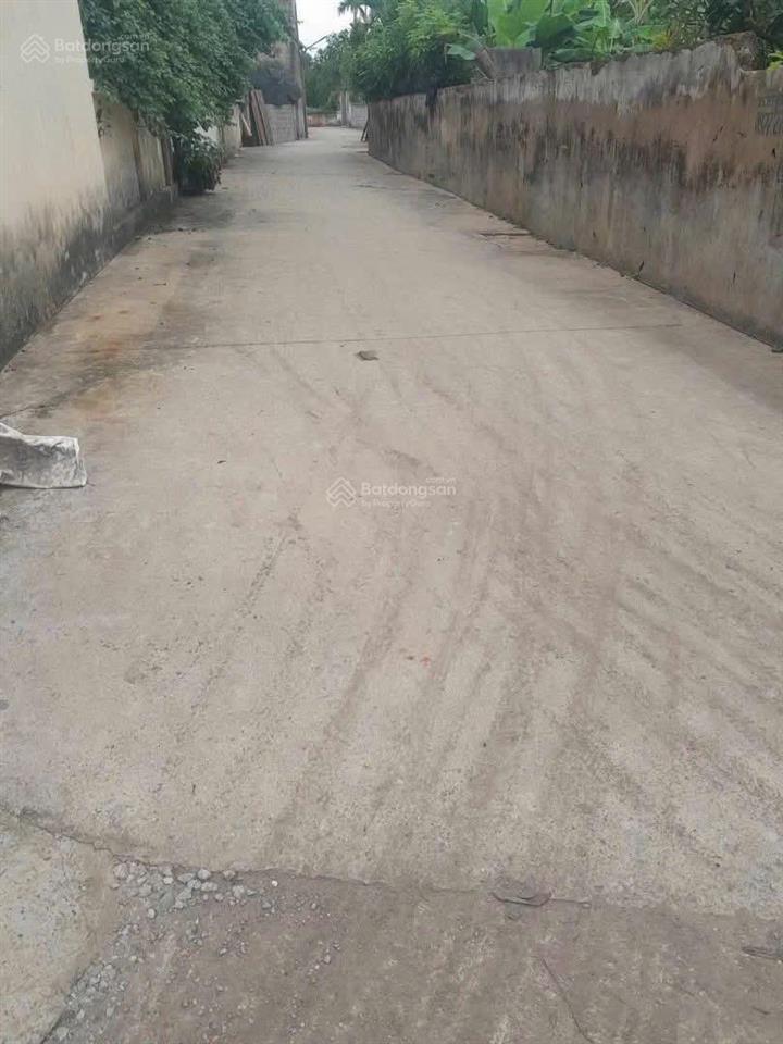 Chính chủ cần bán 284,5 m2 full thổ cư tại châu ninh khoái châu hưng yên (hàng dân bán)