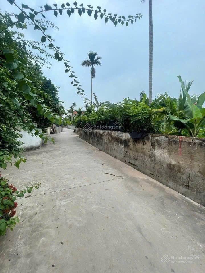 Chính chủ cần bán 284,5 m2 full thổ cư tại châu ninh khoái châu hưng yên (hàng dân bán)