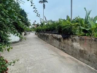 Chính chủ cần bán 284,5 m2 full thổ cư tại châu ninh khoái châu hưng yên (hàng dân bán)