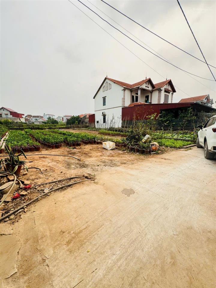 Bán nhanh 121m2 tại hoàng trạch mễ sở hưng yên, giá 3x triệu/ mét đất ở 100%