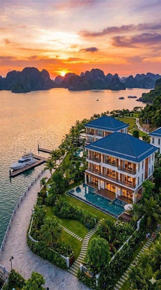 Pkd cđt cập nhật bảng hàng liền kề, biệt thự, chung cư t8/2026. giá áp voucher chỉ từ 3,6 tỷ/căn