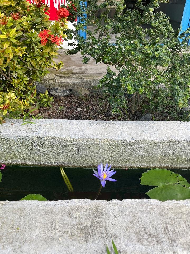 Bán đất 