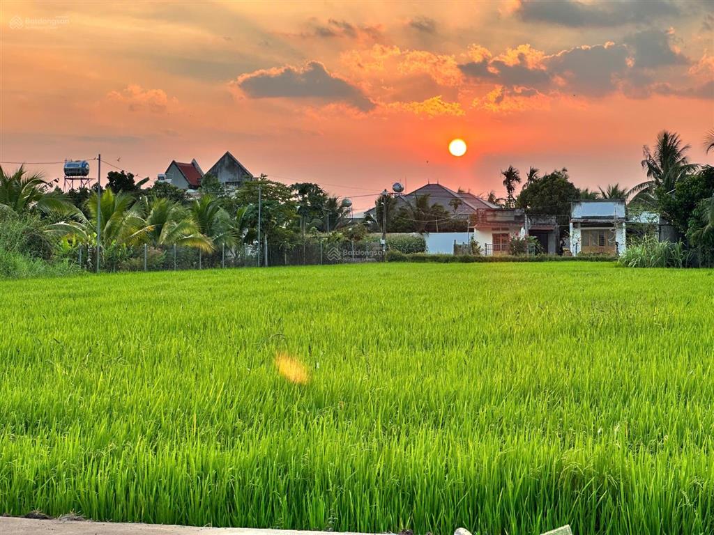 Chính chủ cần bán homestay mini tại tp đồng nai sổ hồng riêng, dọn vào ở ngay. khai thác ngay