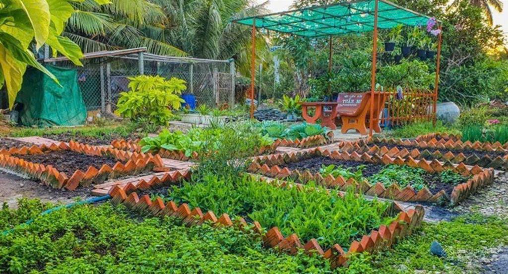 Chủ cần thanh lý gấp căn nhà vườn 1000m2, gía 220 triệu, năm ngay ngã 4 chơn thành, sổ sẵn