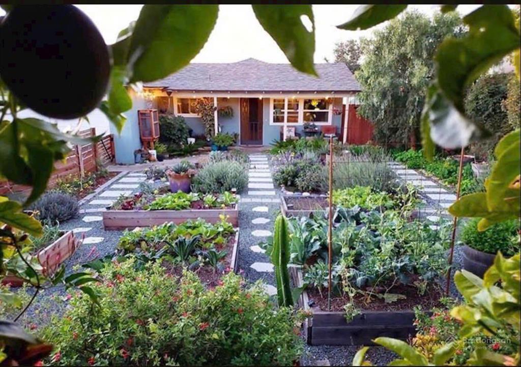 Chủ cần thanh lý gấp căn nhà vườn 1000m2, gía 220 triệu, năm ngay ngã 4 chơn thành, sổ sẵn