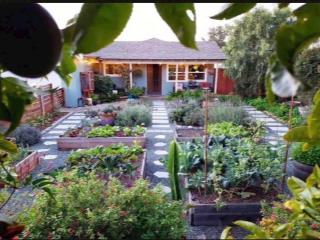 Chủ cần thanh lý gấp căn nhà vườn 1000m2, gía 420 triệu, năm ngay ngã 4 chơn thành, sổ sẵn