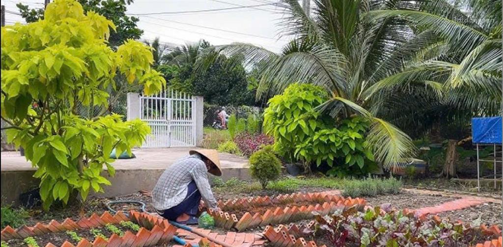 Chủ cần thanh lý gấp căn nhà vườn 1000m2, gía 220 triệu, năm ngay ngã 4 chơn thành, sổ sẵn