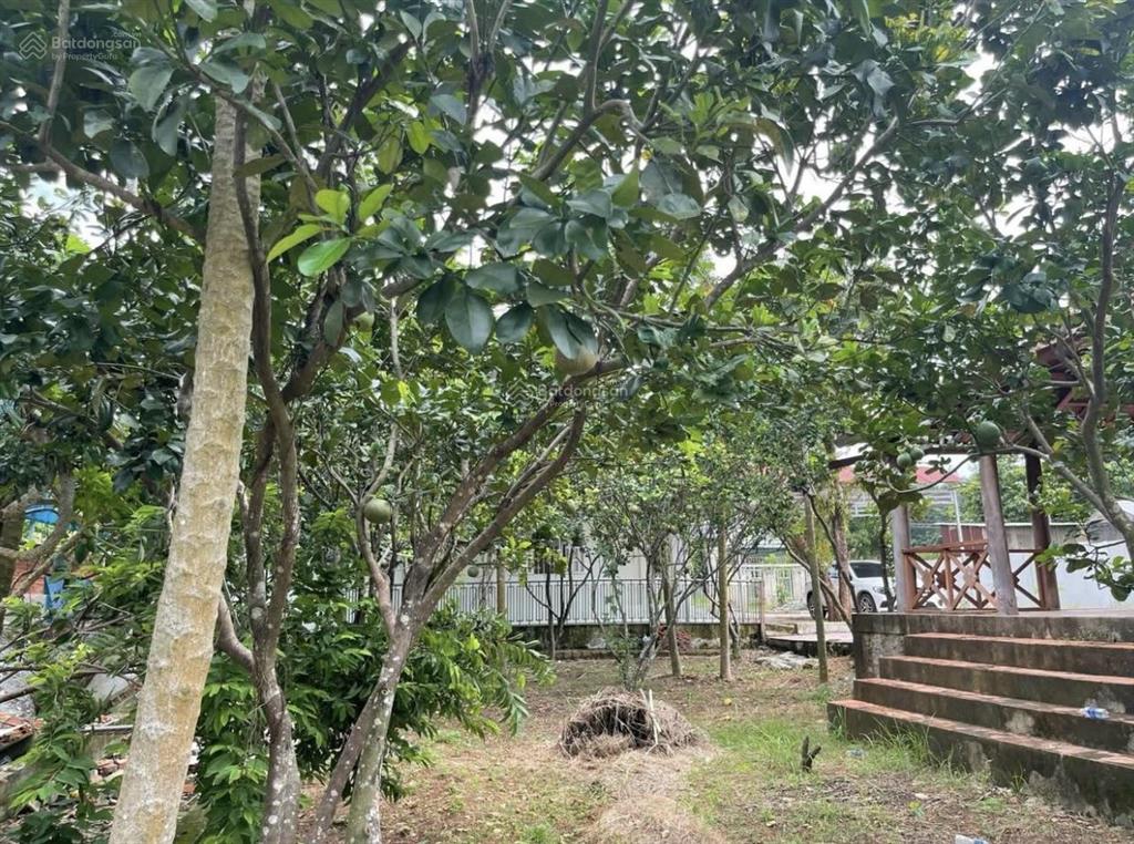 Bán nhà vườn tại đường số 14, minh thành, chơn thành, giá 540 triệu, 2600m2