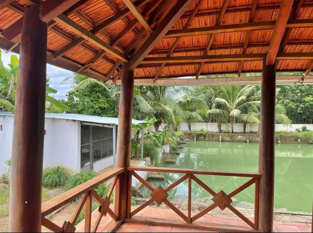 Bán nhà vườn tại đường số 14, minh thành, chơn thành, giá 540 triệu, 2600m2