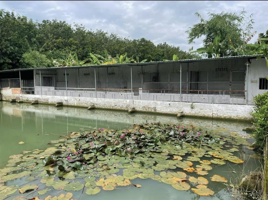 Bán nhà vườn tại đường số 14, minh thành, chơn thành, giá 540 triệu, 2600m2