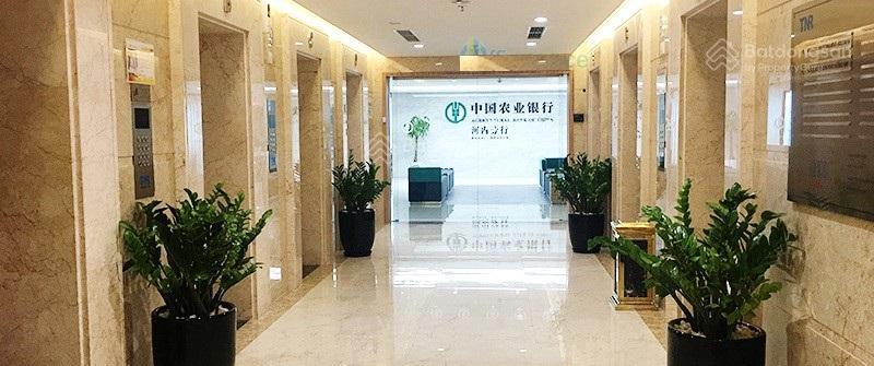 Văn phòng nguyễn chí thanh full nội thất đầy đủ pccc setup 0 đồng!