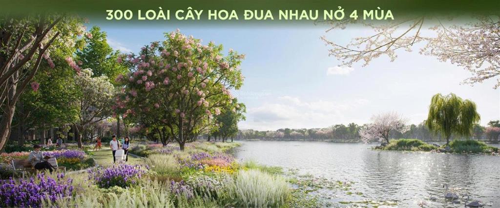 Căn hộ eco retreat sky retreat căn độc quyền view hồ thiên nga & rừng trị liệu