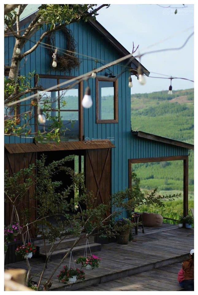 Một farm mini đầy đủ pháp lý vào là vận hành được ngay cách sân bay tp tuy hoà chỉ 30km