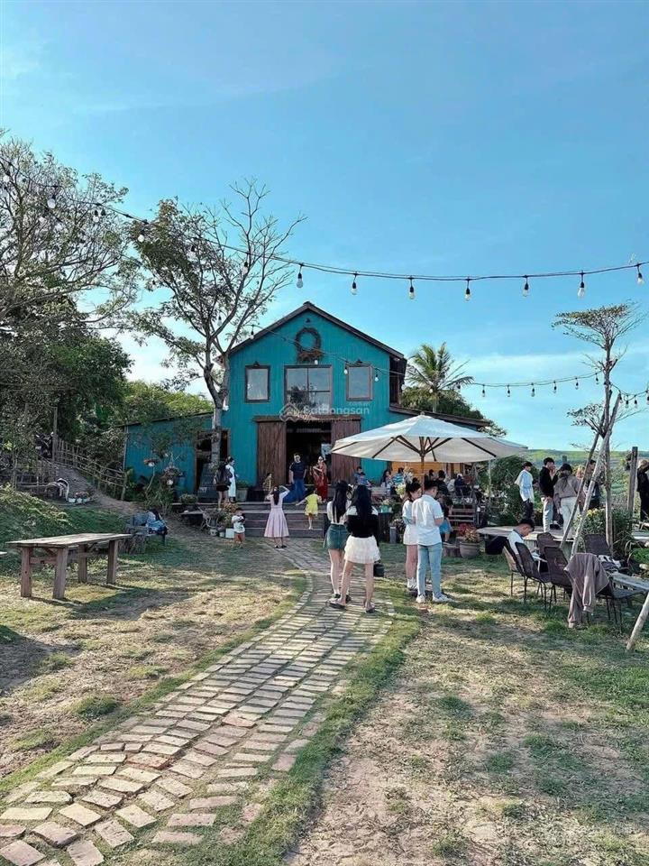 Một farm mini đầy đủ pháp lý vào là vận hành được ngay cách sân bay tp tuy hoà chỉ 30km