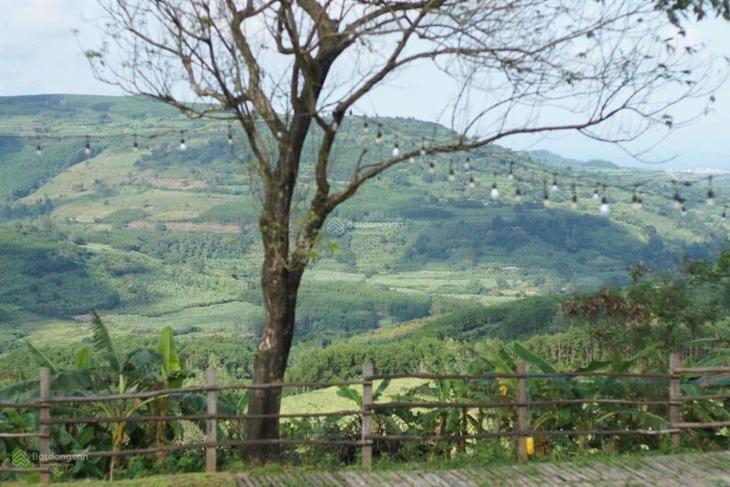 Một farm mini đầy đủ pháp lý vào là vận hành được ngay cách sân bay tp tuy hoà chỉ 30km