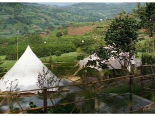 Một farm mini đầy đủ pháp lý vào là vận hành được ngay cách sân bay tp tuy hoà chỉ 30km