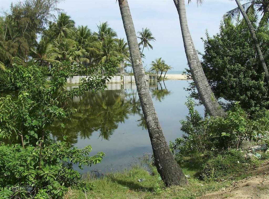 Đất view sông đồng nai cách biển 50m 194m ont mt 7,5m đường bê tông 10m