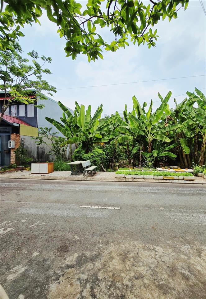 Bán đất 56m2, đường 8m có vỉa hè, 3 tỷ, khu phân lô đồng bộ dân trí cao, sổ hồng riêng