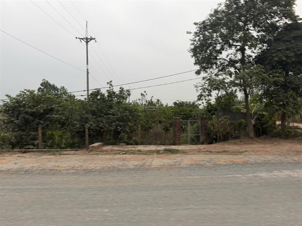 Cần bán mảnh vườn sổ đỏ chính chủ đang trồng cây ăn trái tại phúc thọ, 970m2 giá nhỉnh 1 tỷ