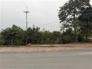 Cần bán mảnh vườn sổ đỏ chính chủ đang trồng cây ăn trái tại phúc thọ, 970m2 giá nhỉnh 1 tỷ