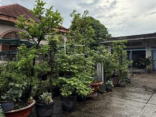 Bán nhà đất thủ đức  linh xuân ngang 50m  dt 1.515m2 (ngang 50 x dài 30) full thổ cư  đường 6m