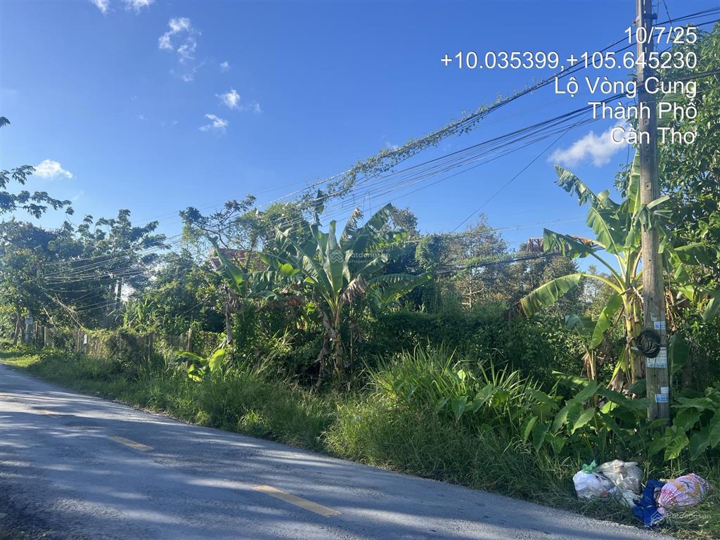 Phát mãi lô 1511m2 mặt tiền lộ vòng cung, tân thới, phong điền, cần thơ giá chỉ 2.6 tỷ đồng