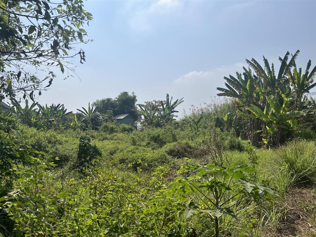Ngân hàng thanh lý lô đất 1107m2 tại xã tân hòa, huyện phú tân, an giang, 1,070 tỷ