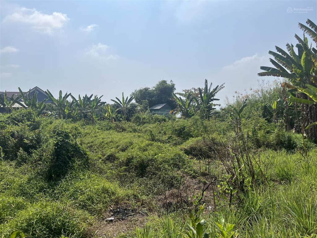Ngân hàng thanh lý lô đất 1107m2 tại xã tân hòa, huyện phú tân, an giang, 1,070 tỷ