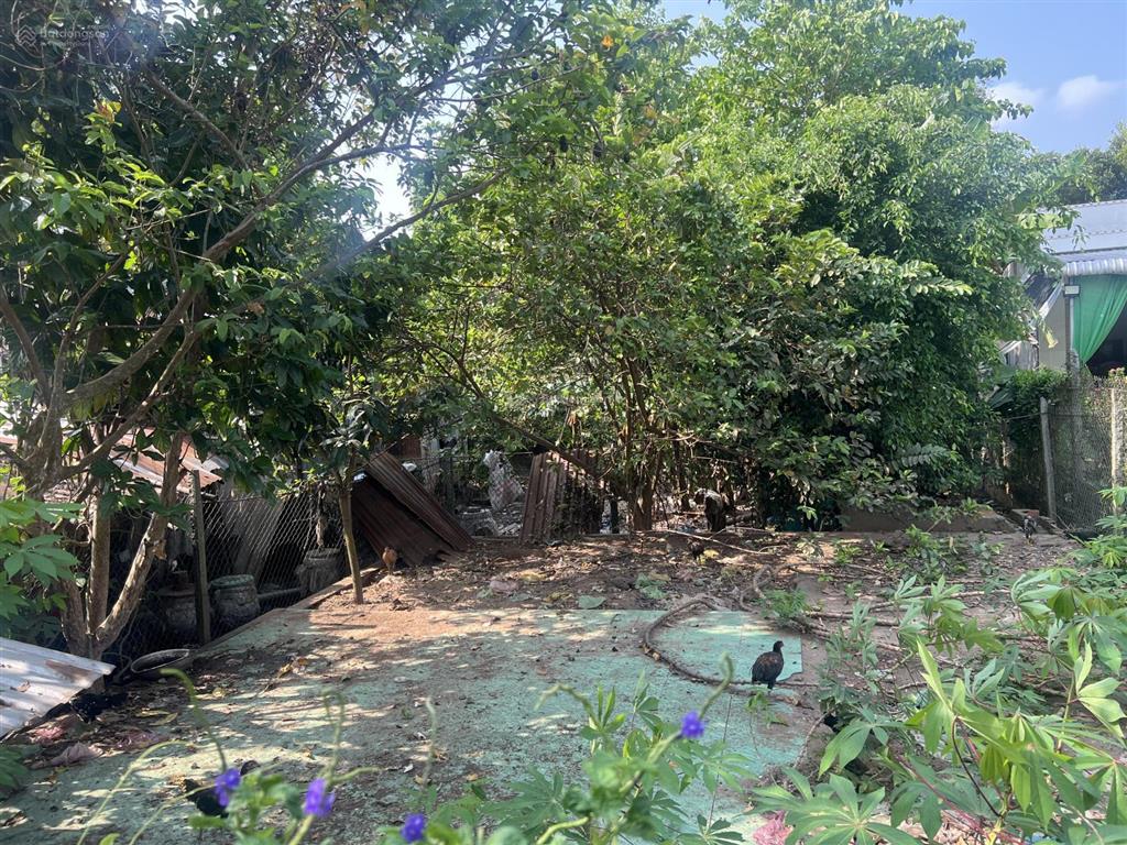 Ngân hàng thanh lý lô đất full thổ cư tại xã hoà long, lai vung, đồng tháp