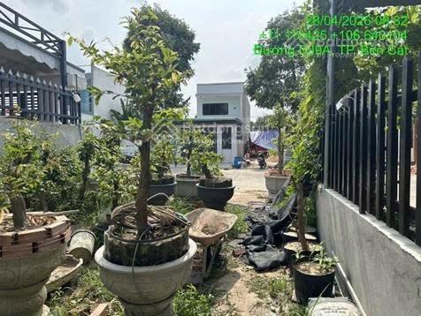 Ngân hàng thanh lý lô đất khu tđc mỹ phước 3, tp bến cát bình dương