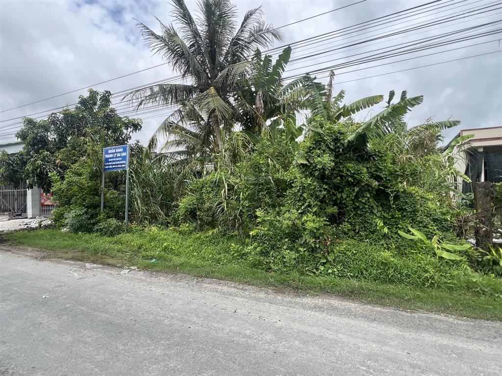 Ngân hàng thanh lý lô đất 1.442m2 tại ngãi tứ, tam bình, vĩnh long