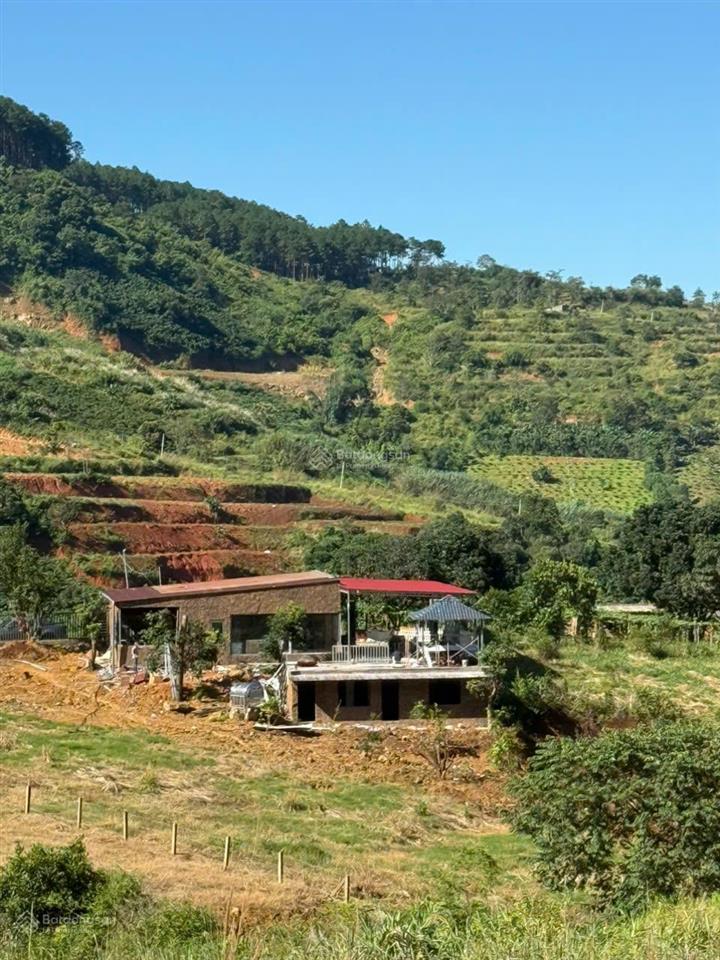 Bán trang trại, khu nghỉ dưỡng tại xã đông thanh, 3,5 tỷ, 1848m2